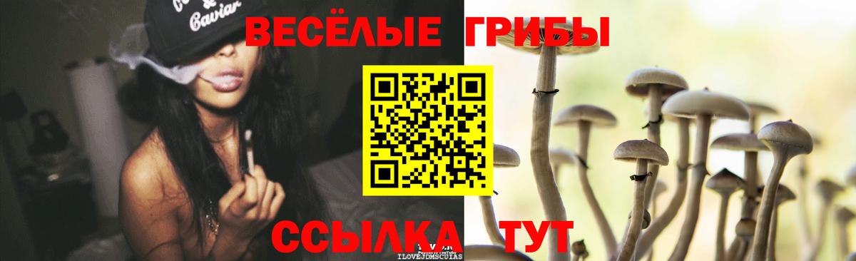 Псилоцибиновые грибы MAGIC MUSHROOMS  Псилоцибиновые грибы Psilocybe  Ялта  Вход с VPN 
